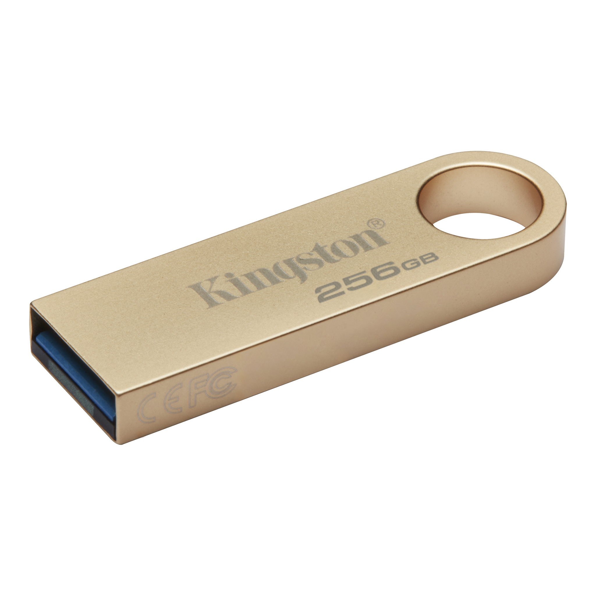 USB flash disk 256Gb Kingston DataTravel SE9 G3 (DTSE9G3/256GB)