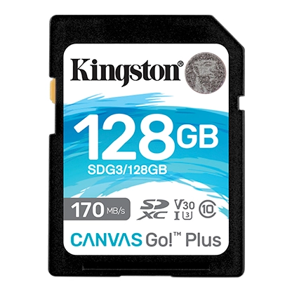Карта памяти 128Gb Kingston Canvas Go Plus (SDG3/128GB)