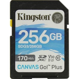 Карта памяти 256Gb Kingston Canvas Go! Plus SDG3/256GB