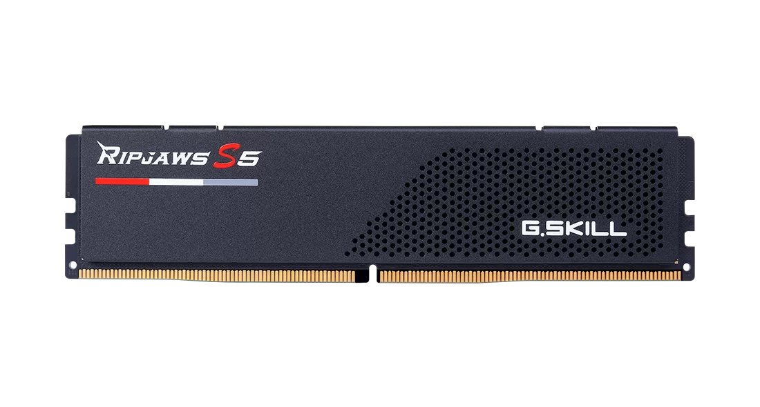   64Gb (2*32Gb) G.Skill Ripjaws S5 (F5-5600J2834F32GX2-RS5K)