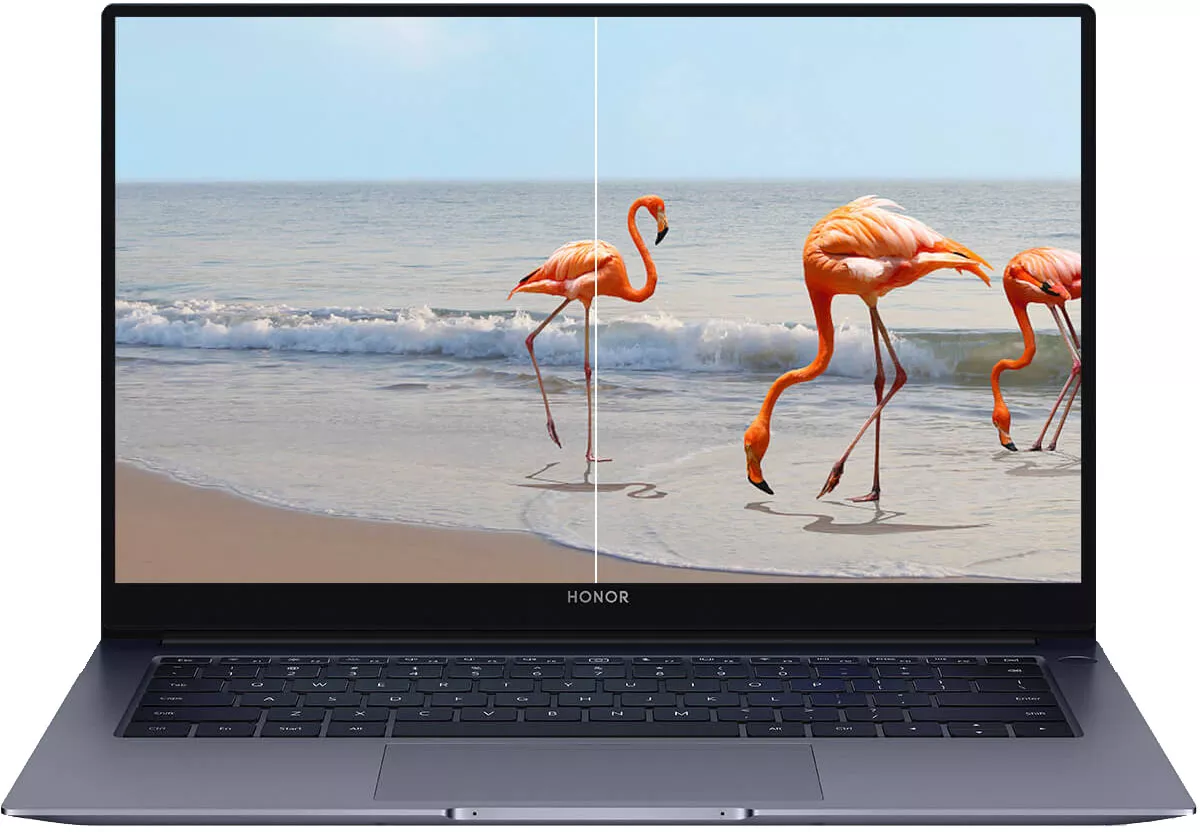 Ноутбук HONOR MagicBook X14 FRI-F56 (5301AFKC)