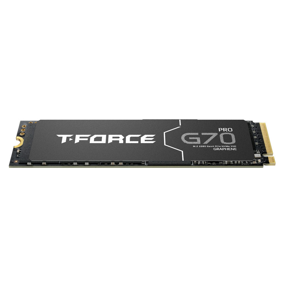 Жесткий диск SSD 1Tb Team G70 PRO (TM8FFH001T0C129)