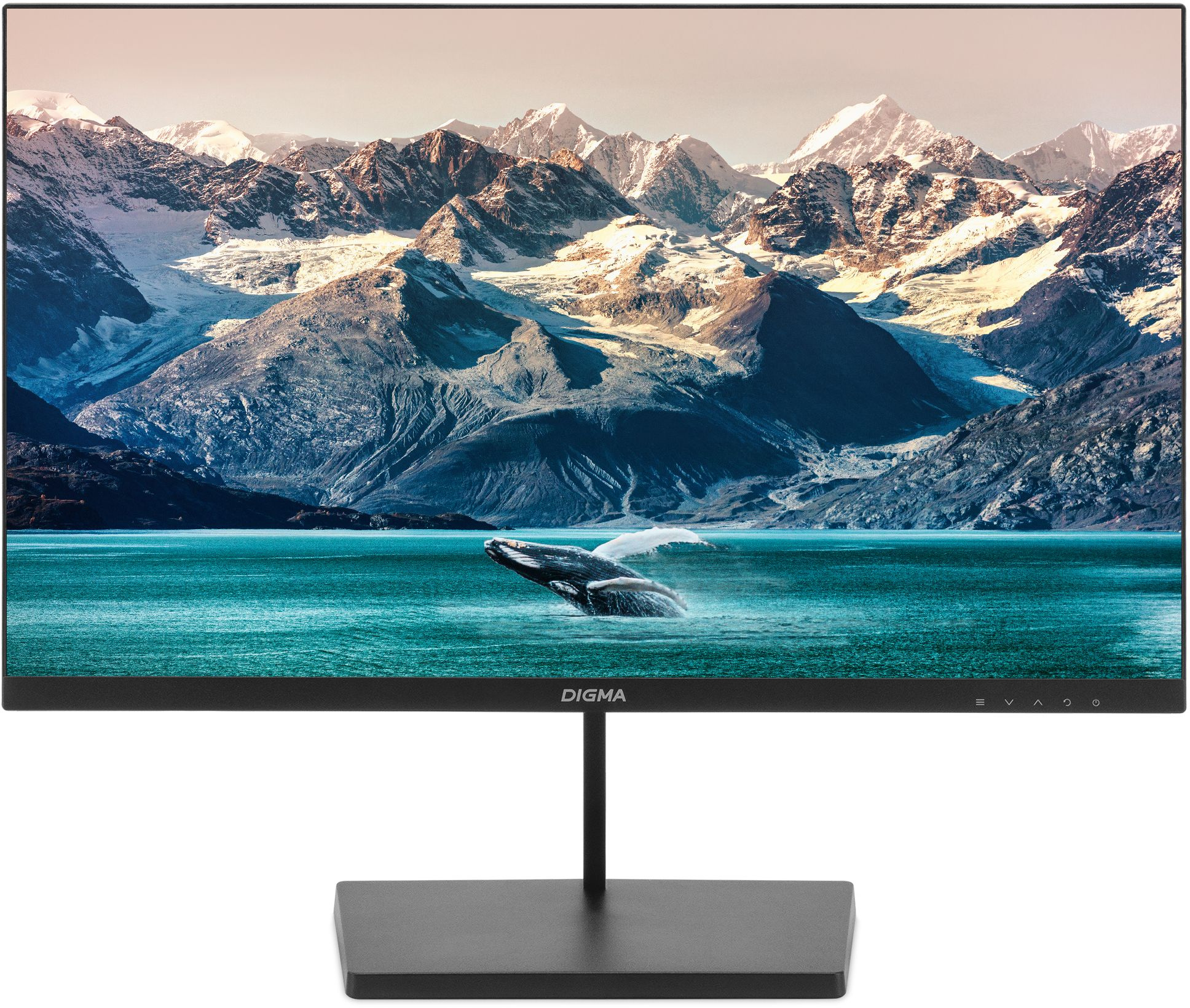 Монитор 24" Digma 24P501F