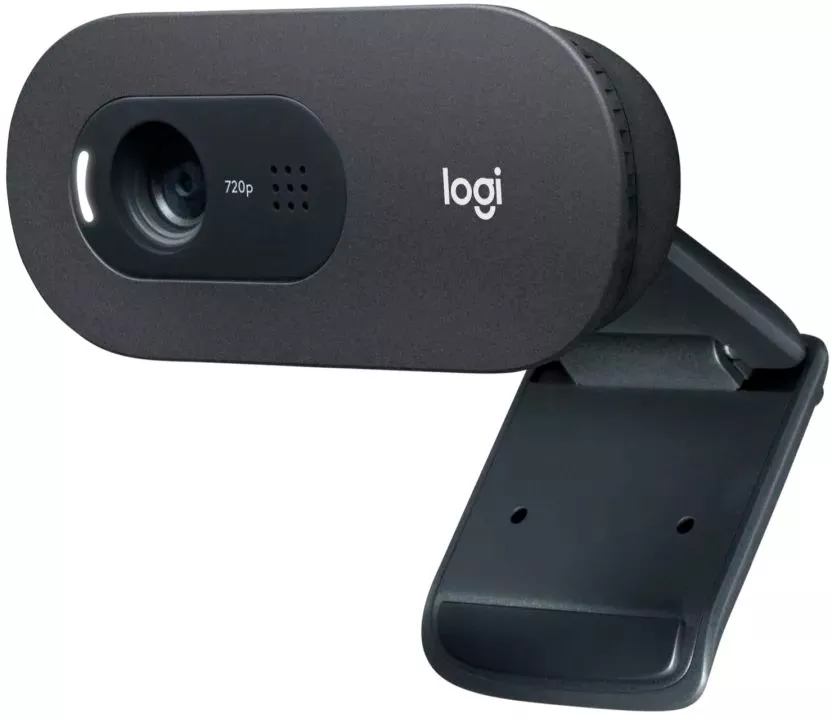 Веб-камера Logitech C505e (960-001373)