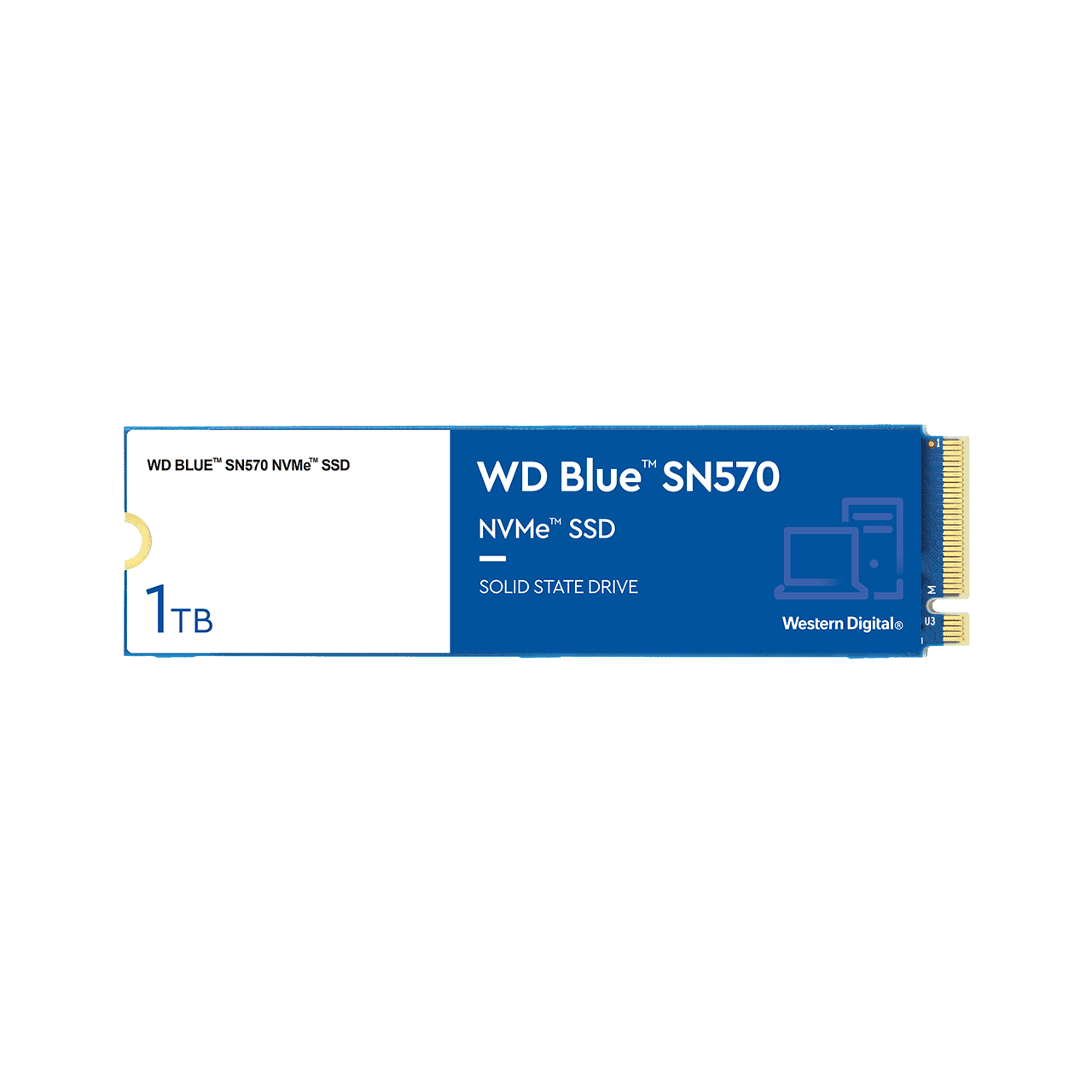Жесткий диск SSD 1Tb Western Digital Blue SN570 (WDS100T3B0C)