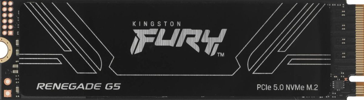 Жесткий диск SSD 1Tb Kingston FURY Renegade G5 (SFYR2S/1T0)
