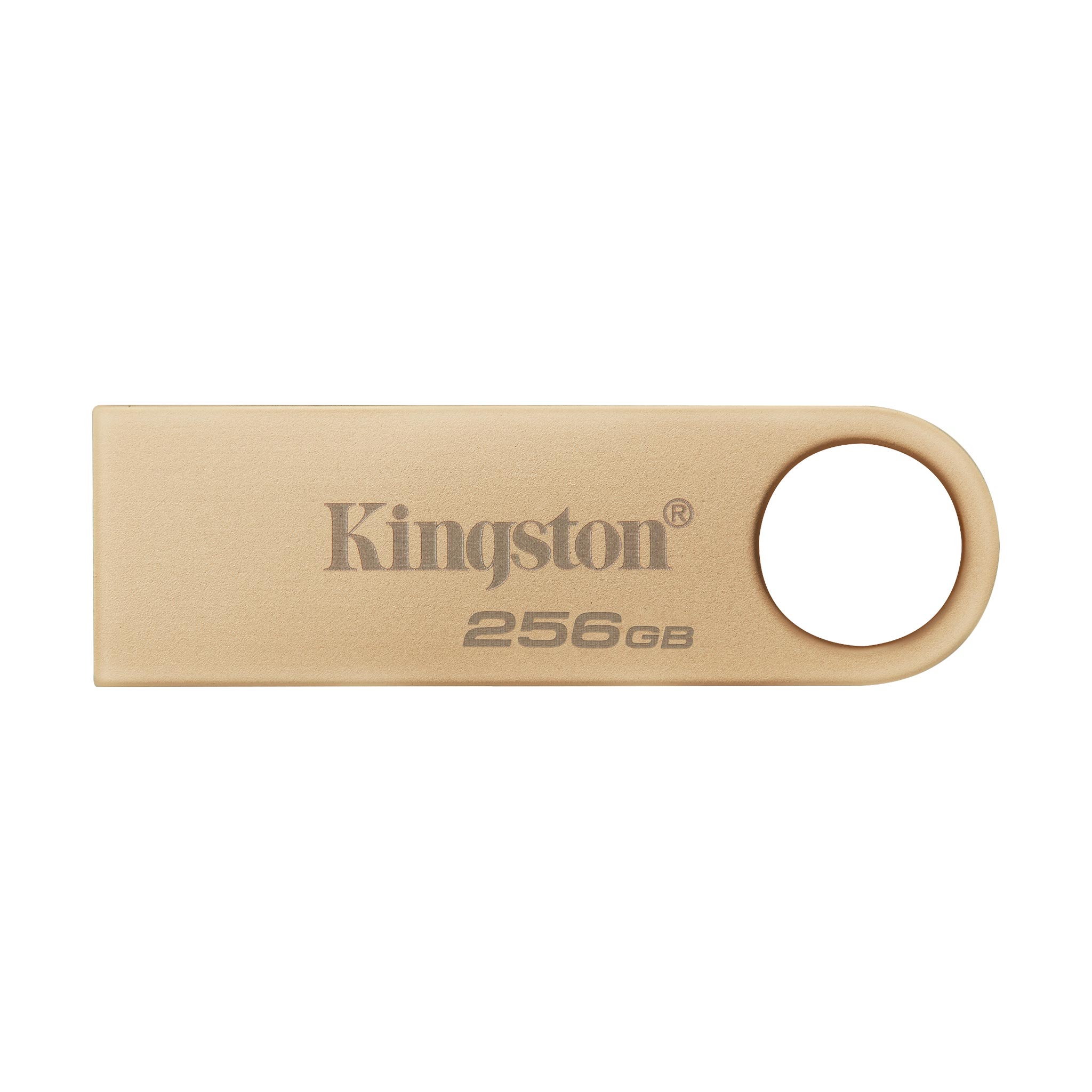 USB flash disk 256Gb Kingston DataTravel SE9 G3 (DTSE9G3/256GB)