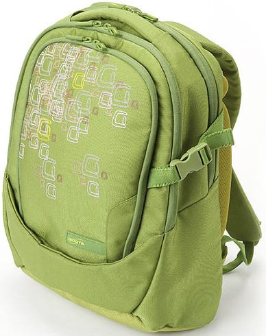Рюкзак для ноутбука Dicota Dee BacPac (N25938P)