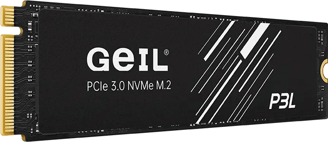 Жесткий диск SSD 256Gb Geil P3L (P3LFD16I256G)