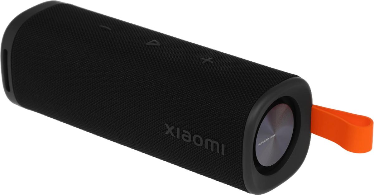 Портативная колонка Xiaomi Sound Outdoor (QBH4261GL)