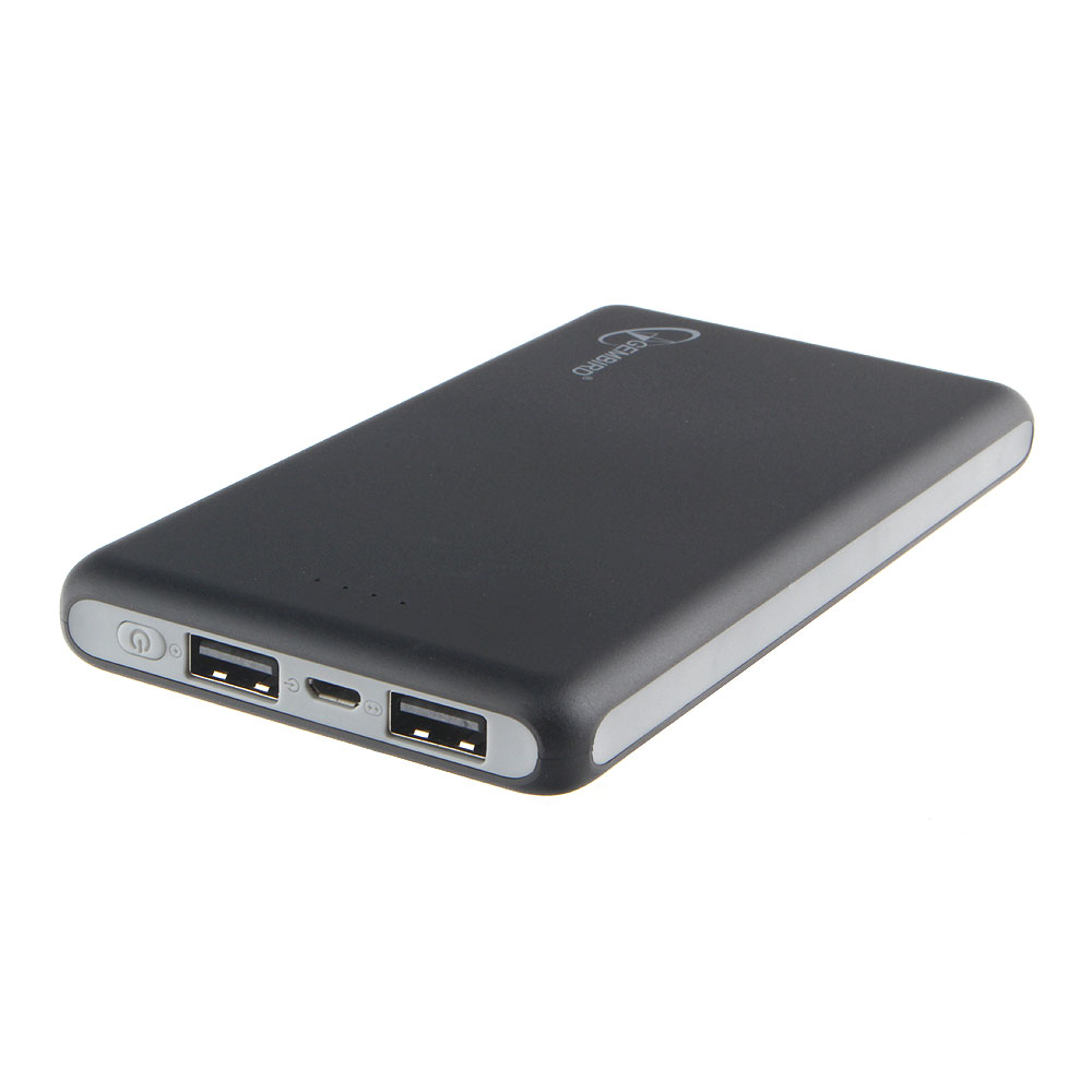 Портативное зарядное устройство Gembird GPB-102