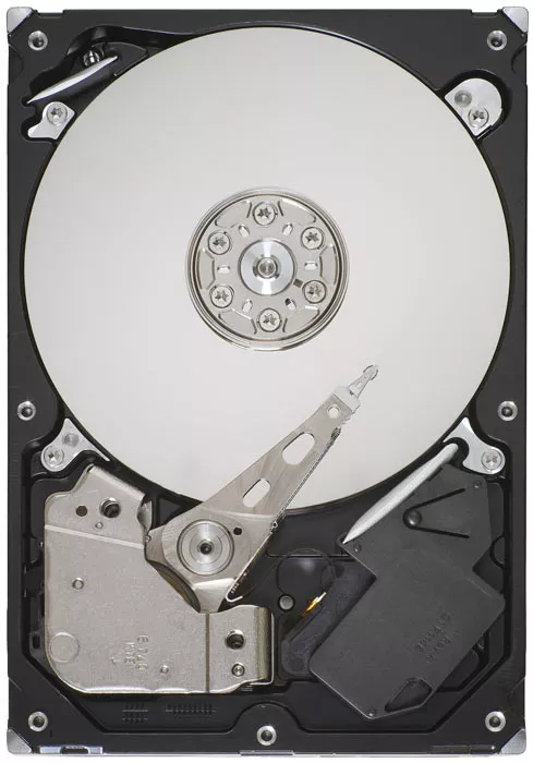 Жесткий диск 1Tb Seagate ST1000VM002