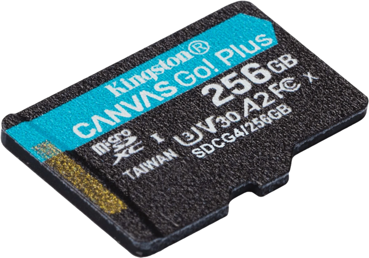 Карта памяти 256Gb Kingston Canvas Go! Plus (SDCG4/256GBSP)