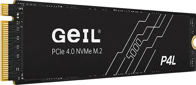 Жесткий диск SSD 1Тb Geil P4L (P4LFD23C1TBD)