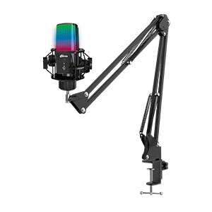 Микрофон Ritmix RDM-270
