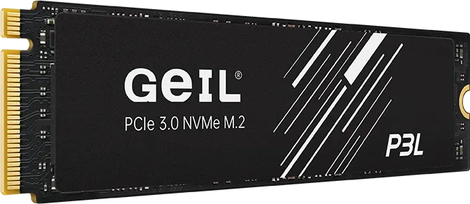 Жесткий диск SSD 256Gb Geil P3L (P3LFD16I256G)