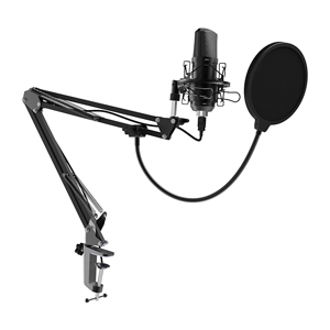 Микрофон Ritmix RDM-169